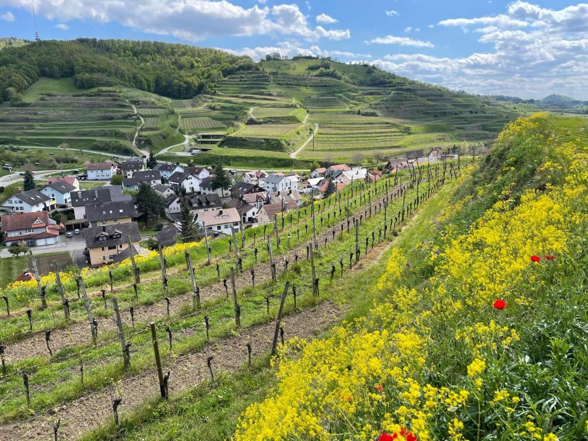 Weingut & Strausswirtschaft Vogel Appartement Vogtsburg Buitenkant foto