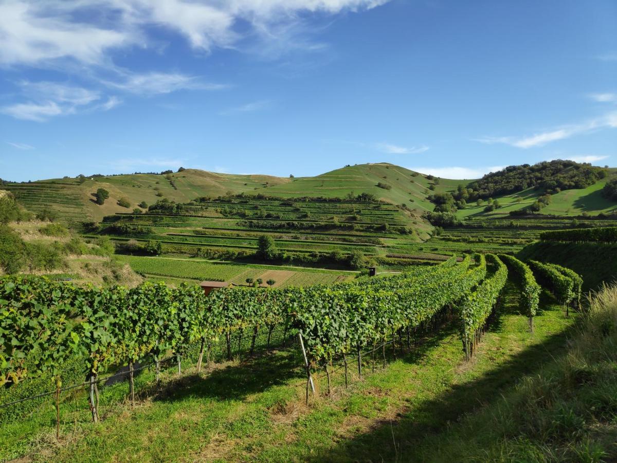 Weingut & Strausswirtschaft Vogel Appartement Vogtsburg Buitenkant foto