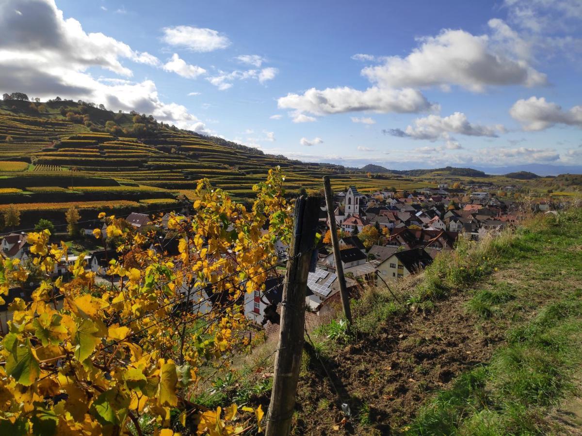 Weingut & Strausswirtschaft Vogel Appartement Vogtsburg Buitenkant foto