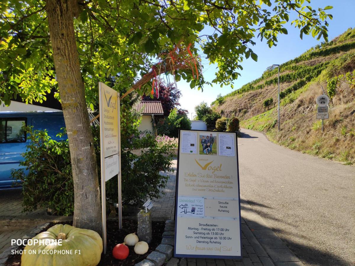 Weingut & Strausswirtschaft Vogel Appartement Vogtsburg Buitenkant foto