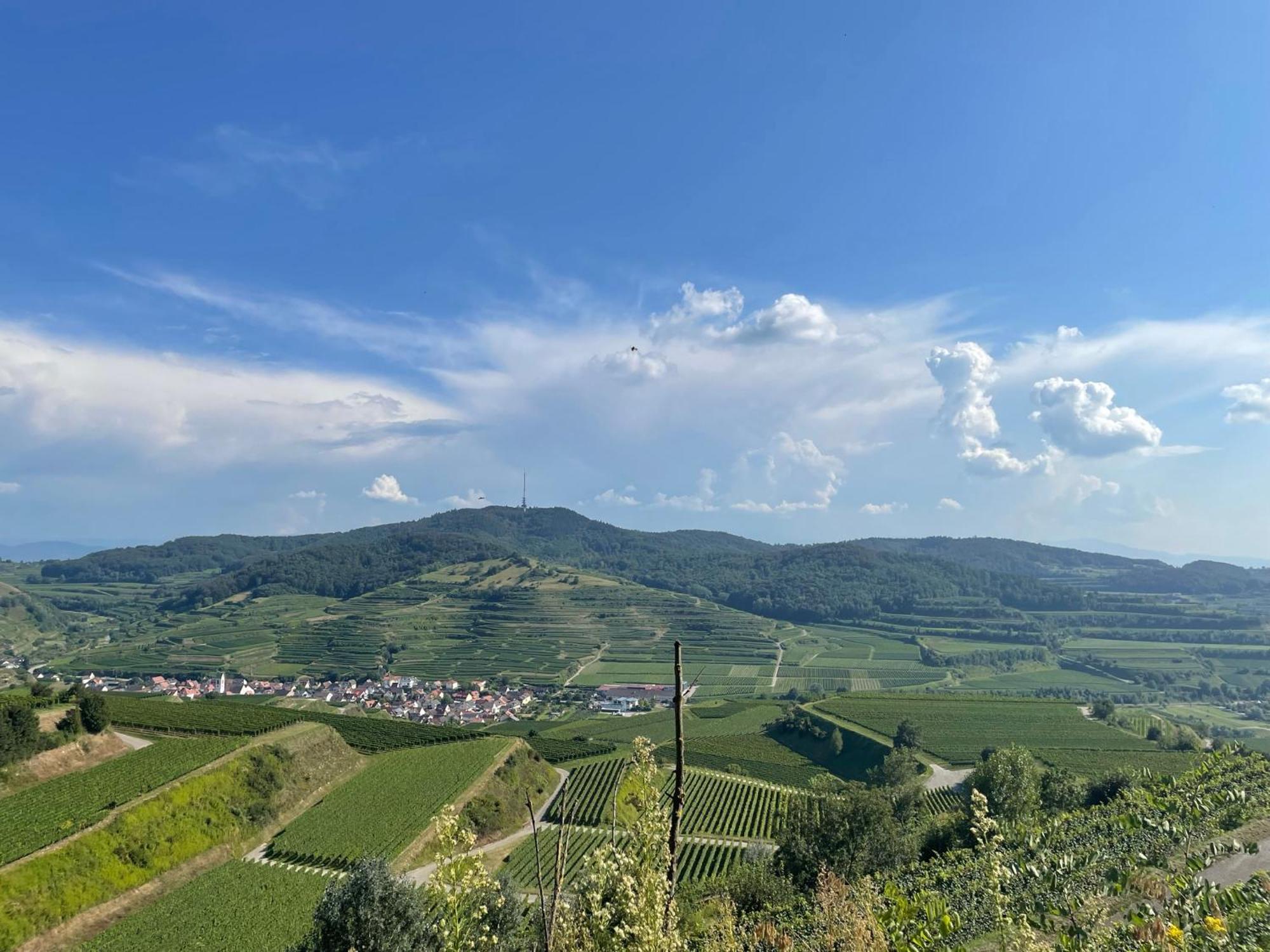 Weingut & Strausswirtschaft Vogel Appartement Vogtsburg Buitenkant foto
