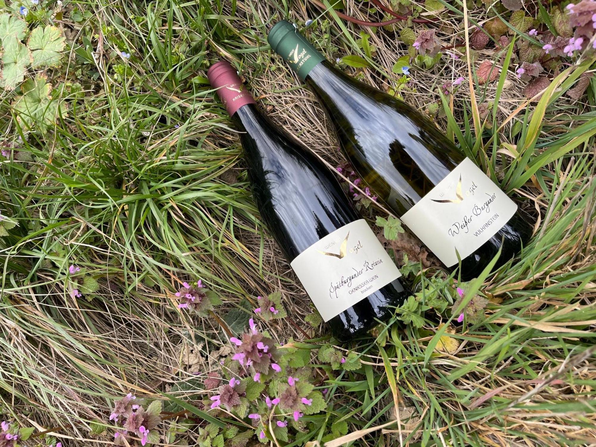 Weingut & Strausswirtschaft Vogel Appartement Vogtsburg Buitenkant foto