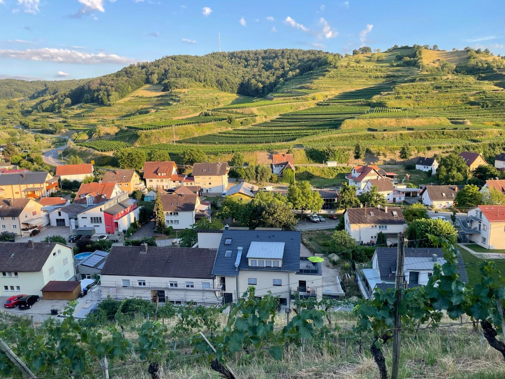Weingut & Strausswirtschaft Vogel Appartement Vogtsburg Buitenkant foto